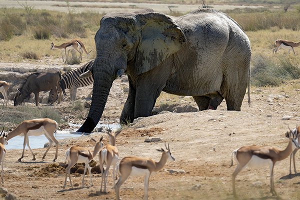 Ngorongoro to Tarangire