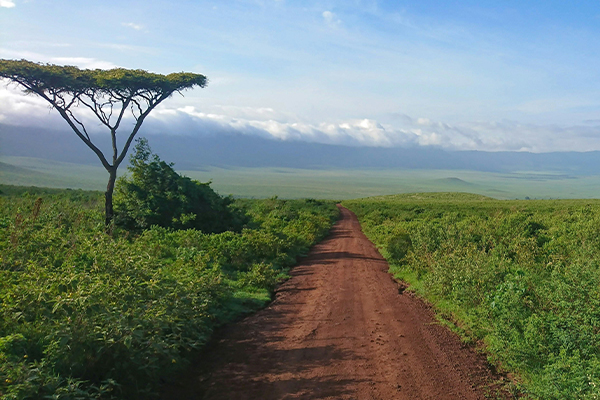 Ngorongoro Crater - Wildlife Eden